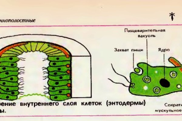 Mega onion зеркало рабочее